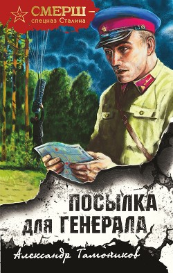 Читать онлайн книгу Посылка для генерала автор Тамоников Александр Книга Посылка для генерала