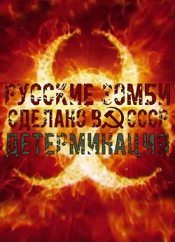 Читать онлайн книгу Детерминация (СИ) автор Янг Павел Книга Детерминация (СИ)