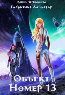 Книга Объект номер 13 (СИ)