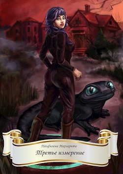 Читать онлайн книгу Третье измерение (СИ) автор Панфилова Маргарита Книга Третье измерение (СИ)