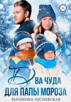 Книга Два чуда для Папы Мороза (СИ)