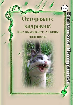 Читать онлайн книгу Осторожно: Кадровик! Как выживают с таким диагнозом автор Панкратова Валентина Книга Осторожно: Кадровик! Как выживают с таким диагнозом