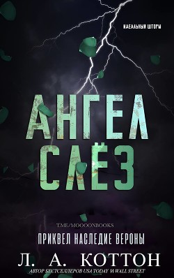 Книга Ангел слёз (ЛП)