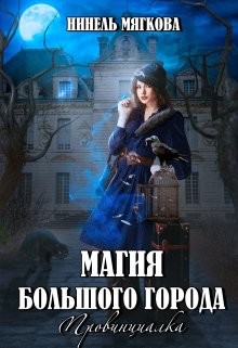 Книга Магия большого города. Провинциалка (СИ)