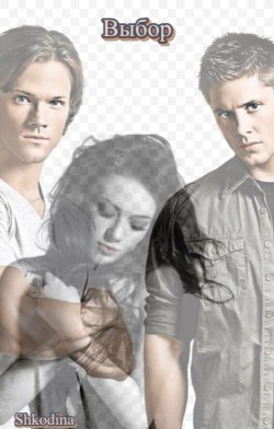 Книга Выбор (СИ)