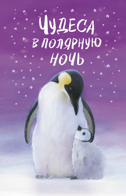 Читать онлайн книгу Чудеса в полярную ночь автор Вебб Холли Книга Чудеса в полярную ночь