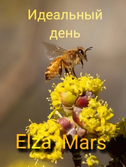 Книга Идеальный день (СИ)