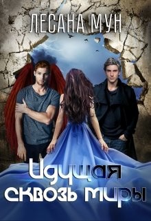Книга Идущая сквозь миры (СИ)