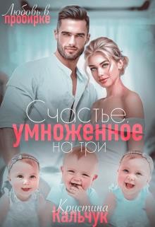 Читать онлайн книгу Счастье, умноженное на три (СИ) автор Кальчук Кристина Книга Счастье, умноженное на три (СИ)