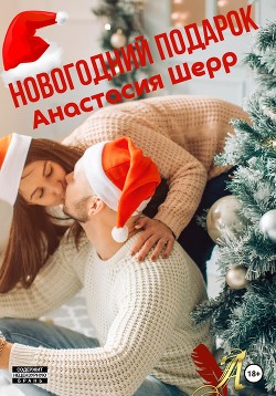 Читать онлайн книгу Новогодний подарок автор Шерр Анастасия Книга Новогодний подарок