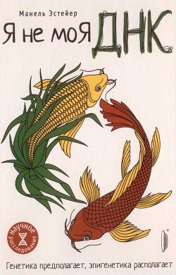 Читать онлайн книгу Я — не моя ДНК. Генетика предполагает, эпигенетика располагает автор Эстейер Манель Книга Я — не моя ДНК. Генетика предполагает, эпигенетика располагает