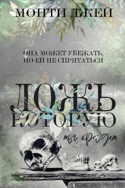 Книга Ложь, которую мы крадем