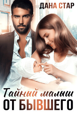 Читать онлайн книгу Тайный малыш от бывшего автор Стар Дана Книга Тайный малыш от бывшего