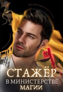Читать онлайн книгу Стажёр в Министерстве Магии (СИ) автор Шеверина Юлия Книга Стажёр в Министерстве Магии (СИ)