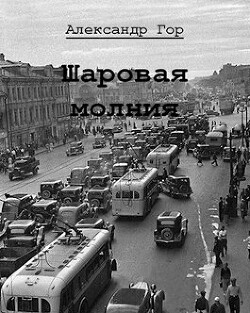 Книга Шаровая молния (СИ)