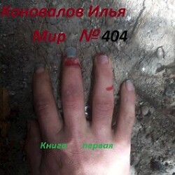 Книга Мир № 404 (СИ)