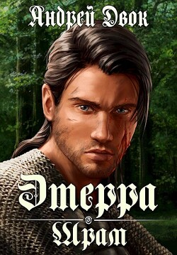 Читать онлайн книгу Шрам (СИ) автор Двок Андрей Книга Шрам (СИ)