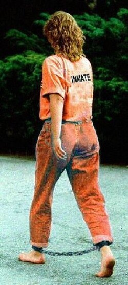 Книга Aresto Kaj SerĈo De Rosa Luxemburgo