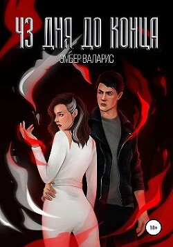 Книга 43 дня до конца (СИ)