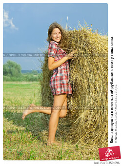 Книга 格列佛成為一個小男孩