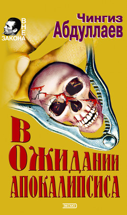 Книга В ожидании апокалипсиса