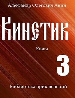Книга Кинетик 3 (СИ)
