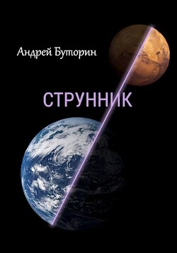 Книга Струнник (СИ)