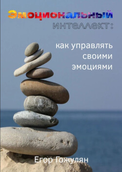 Читать онлайн книгу Эмоциональный интеллект. Как управлять своими эмоциями автор Гожулян Егор Книга Эмоциональный интеллект. Как управлять своими эмоциями