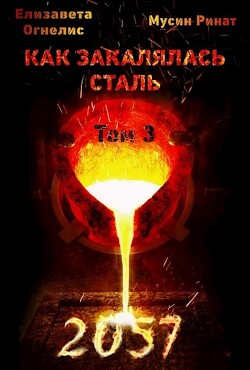 Читать онлайн книгу Как закалялась сталь - 2057. Том 3 (СИ) автор Огнелис Елизавета Книга Как закалялась сталь - 2057. Том 3 (СИ)