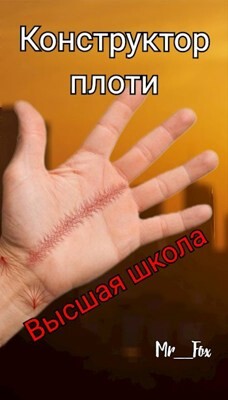 Читать онлайн книгу Высшая школа (СИ) автор Книга Высшая школа (СИ)