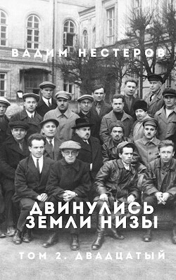 Книга Индустриализация (СИ)