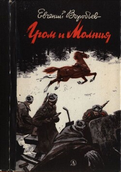 Читать онлайн книгу Гром и Молния автор Воробьев Евгений Захарович Книга Гром и Молния