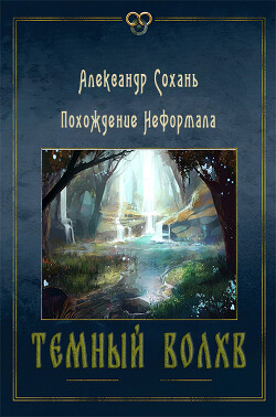 Читать онлайн книгу Темный Волхв (СИ) автор Сохань Александр Книга Темный Волхв (СИ)