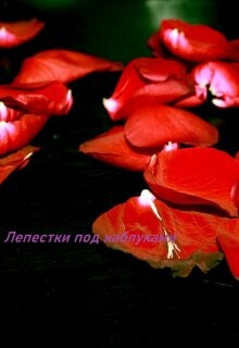 Книга Лепестки под каблуками (СИ)