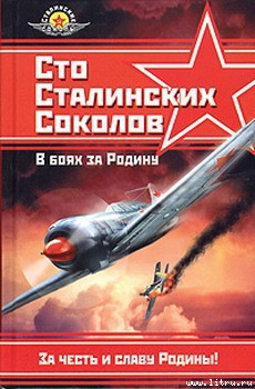 Читать онлайн книгу Сто сталинских соколов. В боях за Родину автор Фалалеев Федор Яковлевич Книга Сто сталинских соколов. В боях за Родину