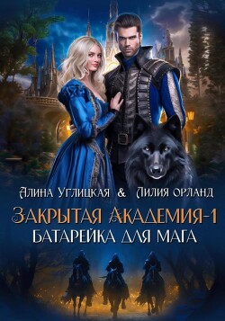 Читать онлайн книгу Батарейка для мага автор Орланд Лилия Книга Батарейка для мага
