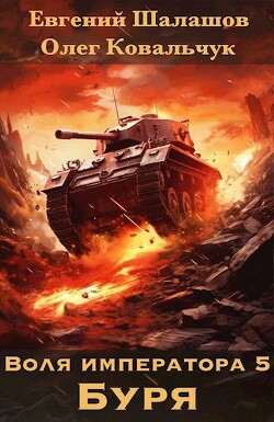 Книга Буря (СИ)