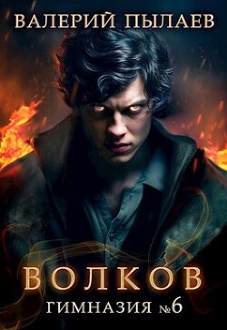 Книга Волков. Гимназия №6 (СИ)