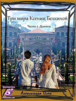 Книга Домина (СИ)