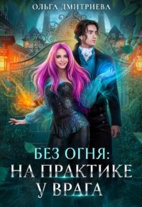 Книга На практике у врага (СИ)