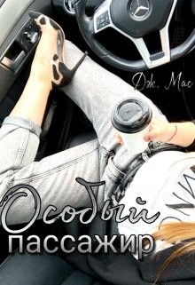 Читать онлайн книгу Особый пассажир (СИ) автор Мас Дж. Книга Особый пассажир (СИ)