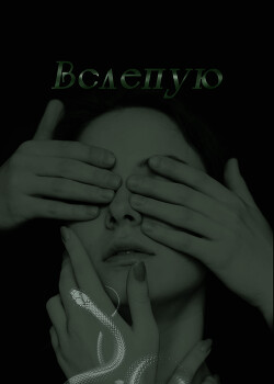 Книга Вслепую (СИ)