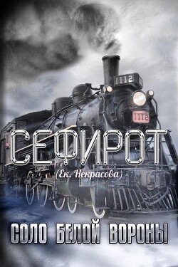 Читать онлайн книгу Соло Белой вороны (СИ) автор Некрасова Екатерина Книга Соло Белой вороны (СИ)