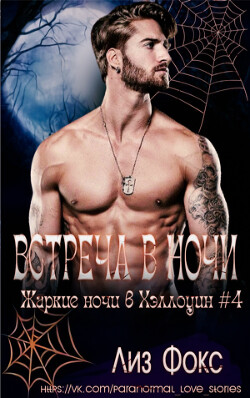 Читать онлайн книгу Встреча в ночи (ЛП) автор Фокс Лиз Книга Встреча в ночи (ЛП)