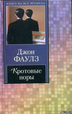Читать онлайн книгу Кротовые норы автор Фаулз Джон Роберт Книга Кротовые норы
