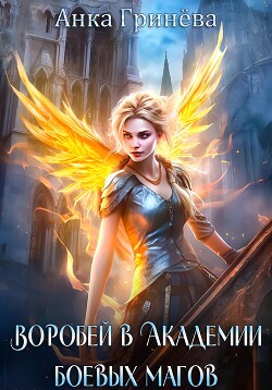 Книга Воробей в Академии боевых магов