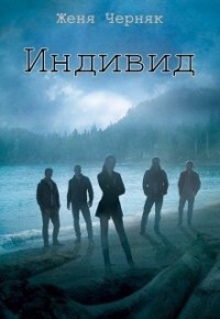 Книга Индивид (СИ )