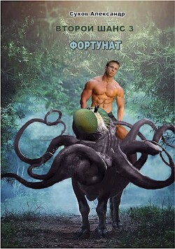 Книга Фортунат (СИ)
