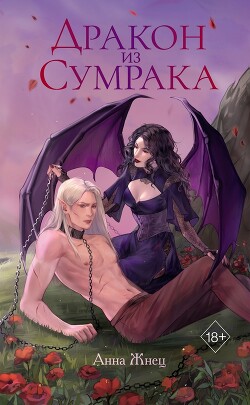 Книга Дракон из сумрака