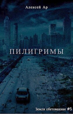 Книга Пилигримы (СИ)